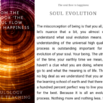 Where the heart goes