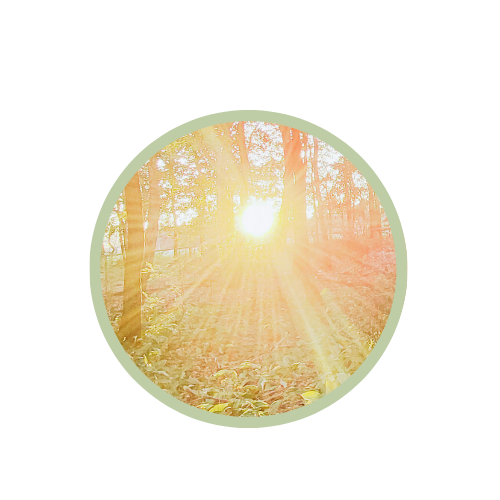 Soul Fundamentals - Image 2